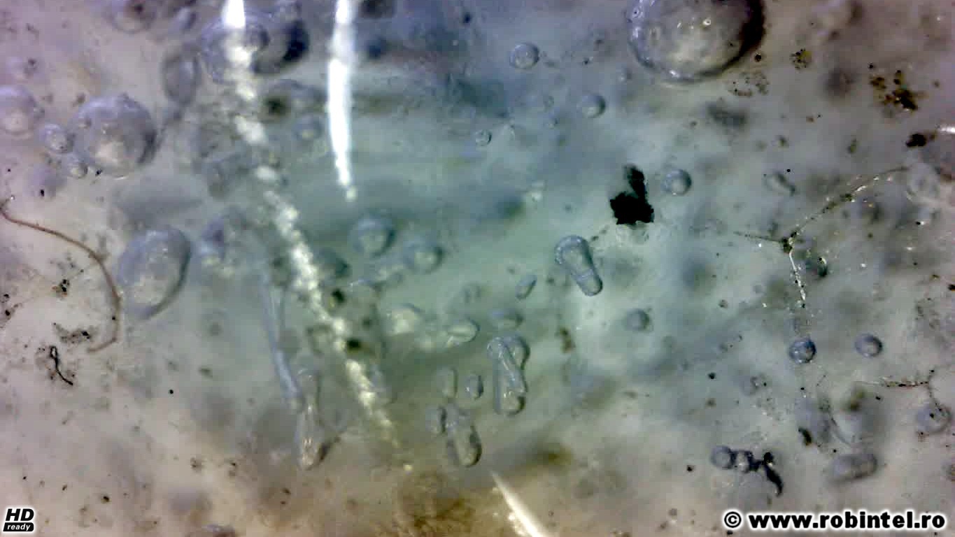 Gheață văzută la microscop cu zoom optic de 200x Gheață văzută la microscop cu zoom optic de 200x