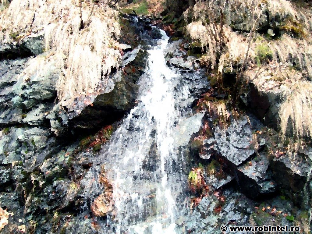 pictura_cu_jiet