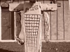 Omul bivol, vedere din față, sculptură în campusul Universității din Petroșani
