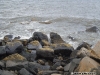 Stânci la ocean (1)