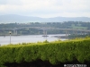 Podul Foyle văzut peste un gard viu din Waterside
