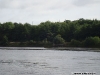 Pădure în apropiere de sensul giratoriul de la podul Foyle