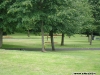 Două păsări în Brooke Park