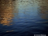 Reflexii portocalii și maro pe râul albastru