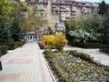 Deși este doar mijloc de Aprilie, beția culorilor frumoase este atât de vie