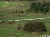 Serpentine pe deal și primul loc de curățat de la Let's Do It Romania (2010)