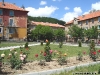 Flori în Parcul Central din Uricani