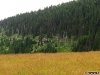 Drumul spre domeniul schiabil Șureanu