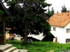 Cabana Șureanu (Iezeru)