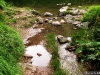 Pârâu cu apă curată, de munte, la buza lacului glaciar Iezeru