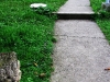 Aleea care duce de la intrare la biserică este străjuită de ruine romane