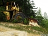 Un excavator de mari dimensiuni folosit pe post de semn de circulație