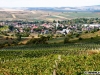 Batoș, văzut peste via celor de la Crama Liliac