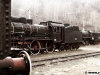 Semicolor digital cu cele trei locomotive cu aburi de la depoul CFR din Petroșani