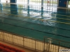 Bazinul de înot de la Complexul Sportiv Universitas