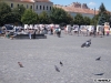 Fotografiile din expoziția România Sălbatică expuse în Piața Unirii din Cluj Napoca
