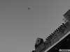 Un avion survola zona concertului